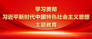 大长屌狂操嫩逼视频学习贯彻习近平新时代中国特色社会主义思想主题教育_fororder_ad-371X160(2)